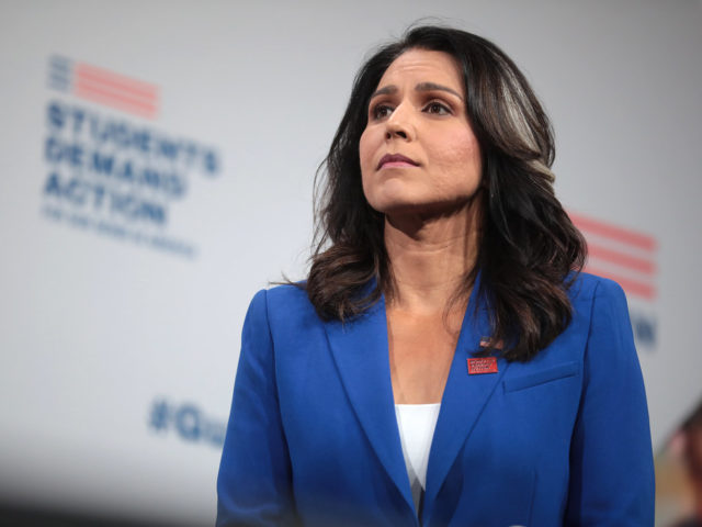 Tulsi Gabbard Archives - The Minuteman Blog